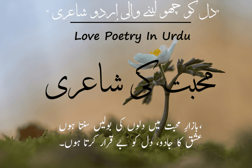  30 Love Poetry In Urdu 