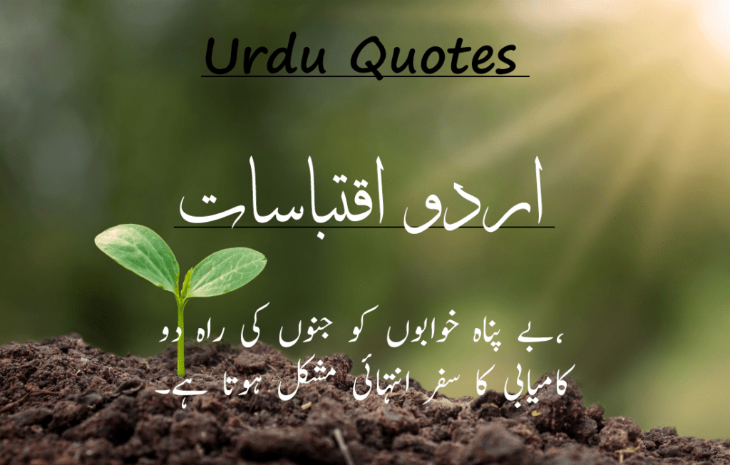 Best 30 Urdu Quotes 