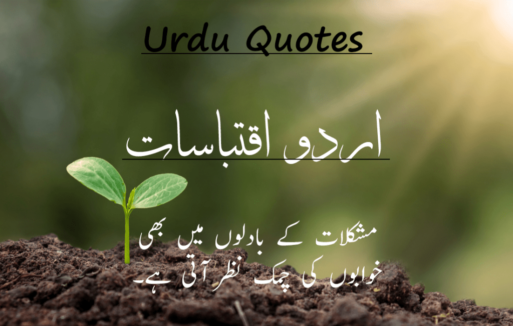 Best 30 Urdu Quotes 