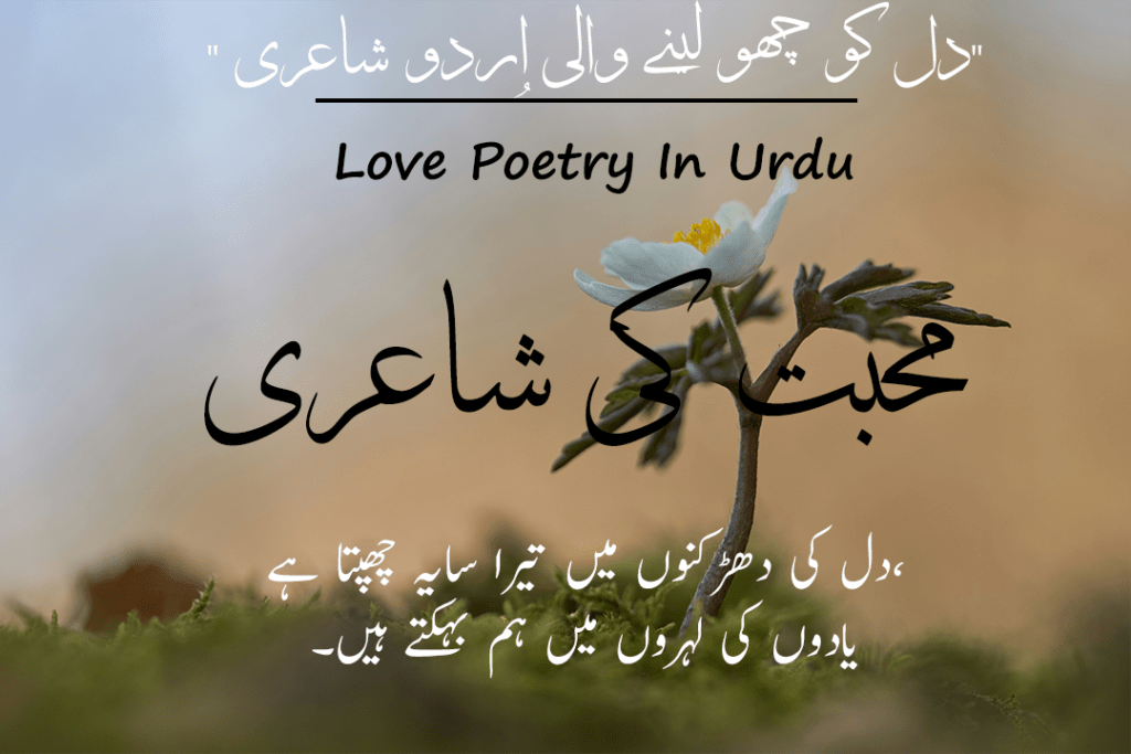  30 Love Poetry In Urdu