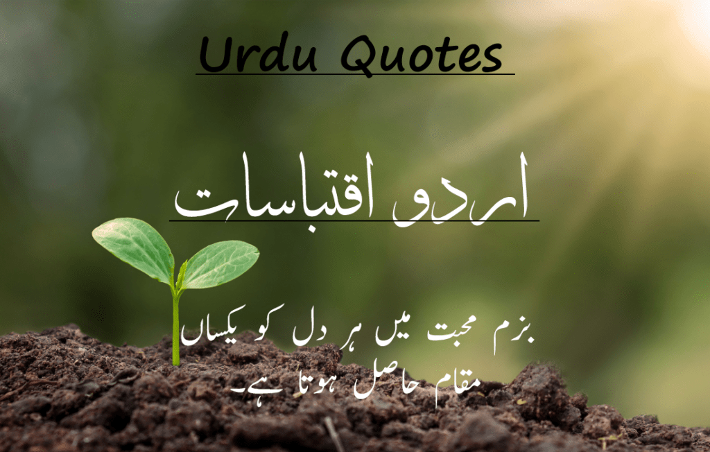 Best 30 Urdu Quotes 