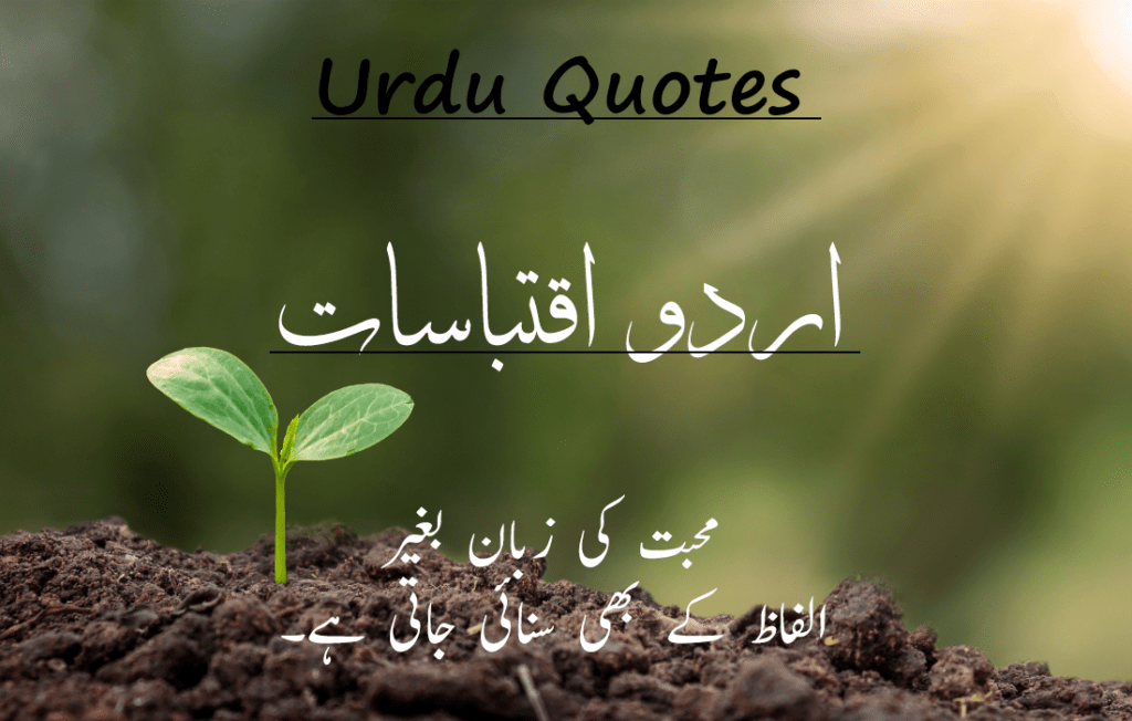 Best 30 Urdu Quotes 