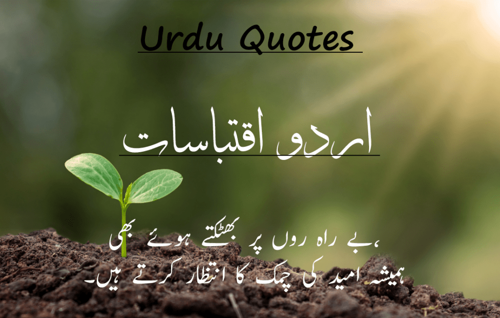 Best 30 Urdu Quotes 