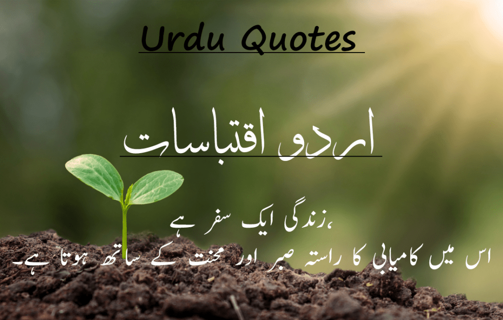 Best 30 Urdu Quotes 