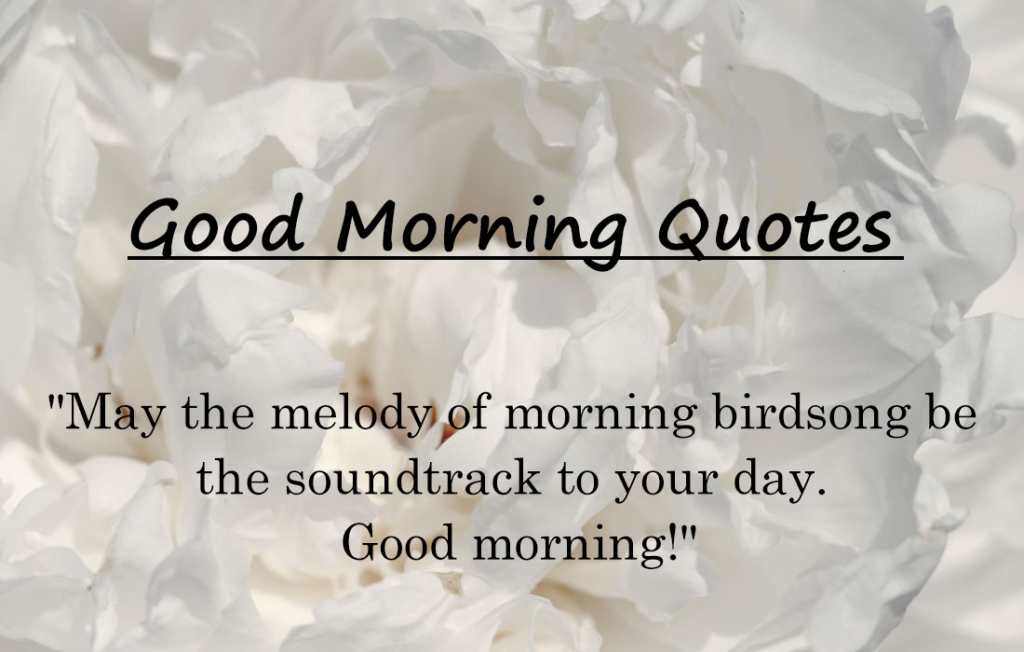 30+ Lovely Good Morning Quotes 