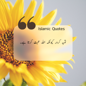 Islamic Quotes In Urdu