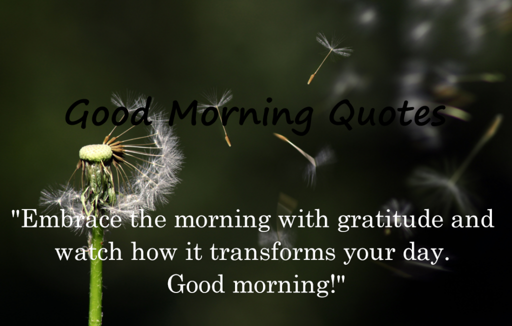 30 Good Morning Quotes