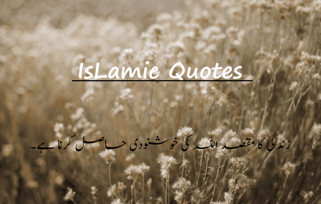 Beautiful Islamic Quotes In Urdu 