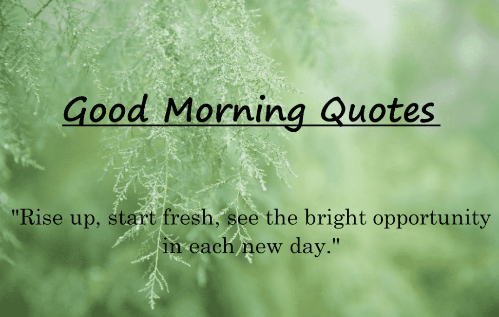 Good Morning Quotes