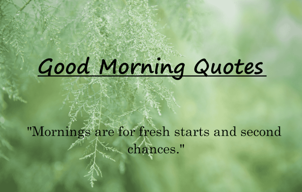 Good Morning Quotes