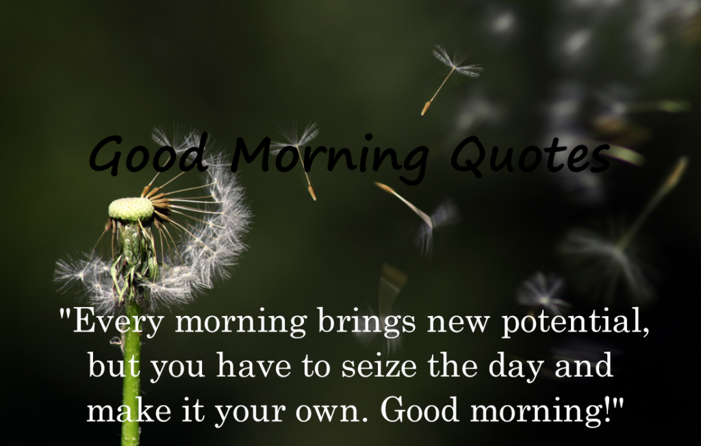 30 Good Morning Quotes