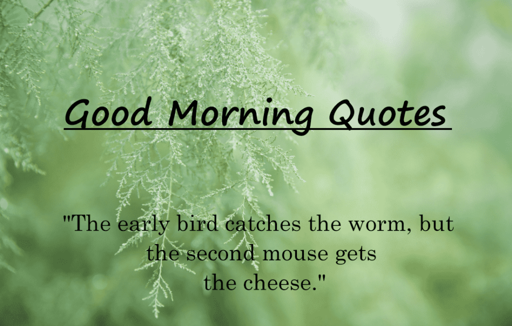 Good Morning Quotes 