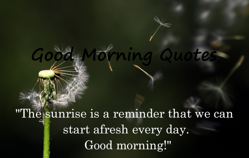 30 Good Morning Quotes