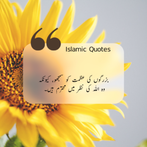 Islamic Quotes In Urdu