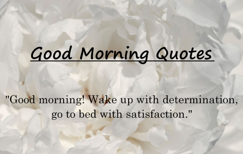 30+ Lovely Good Morning Quotes 