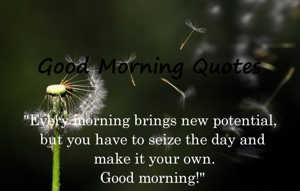 30 Good Morning Quotes 