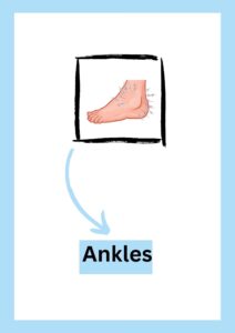  Human Body Parts