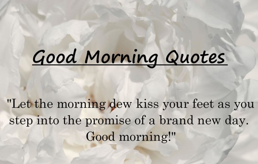 30+ Lovely Good Morning Quotes 