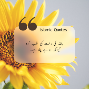 Islamic Quotes In Urdu