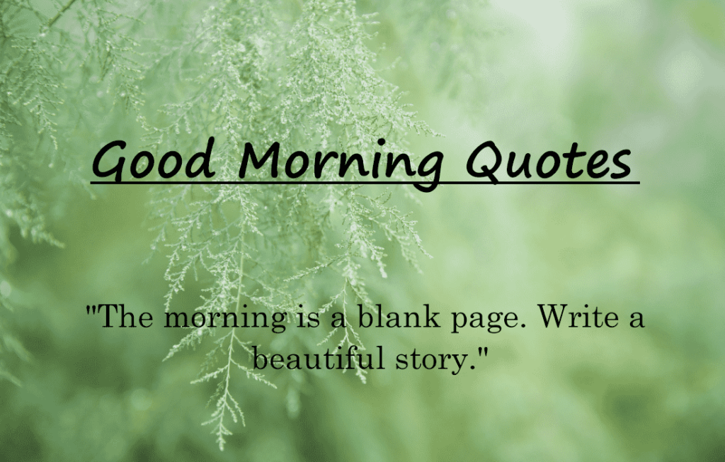 Good Morning Quotes 