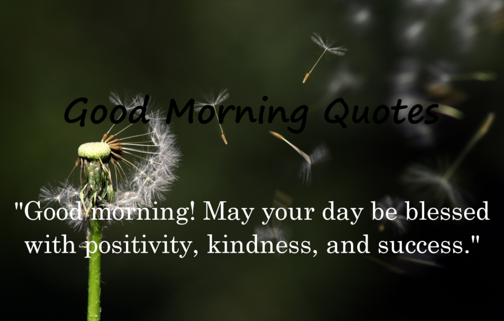 30 Good Morning Quotes 