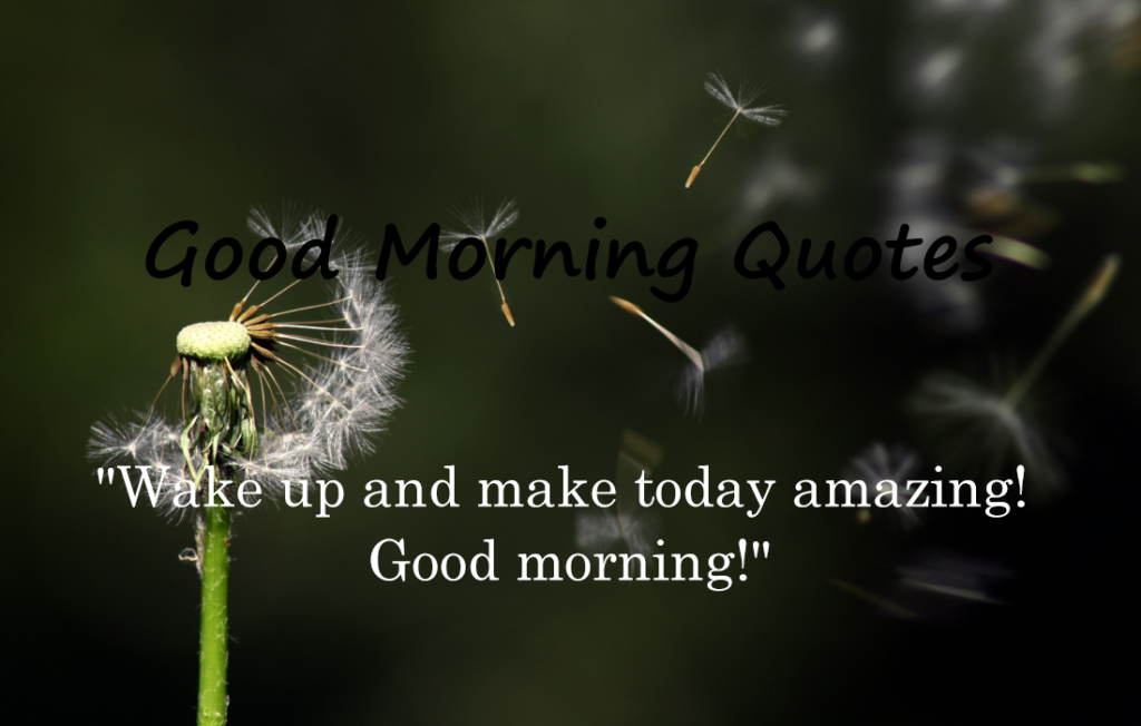 30 Good Morning Quotes 