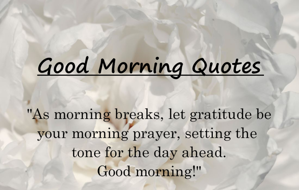 30+ Lovely Good Morning Quotes