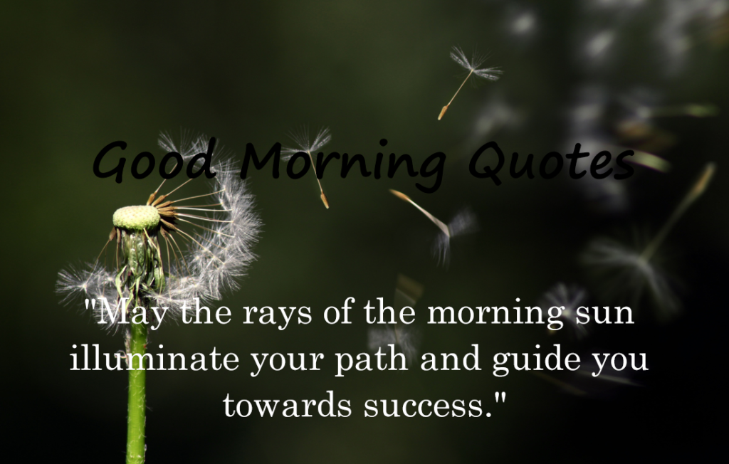 30 Good Morning Quotes 