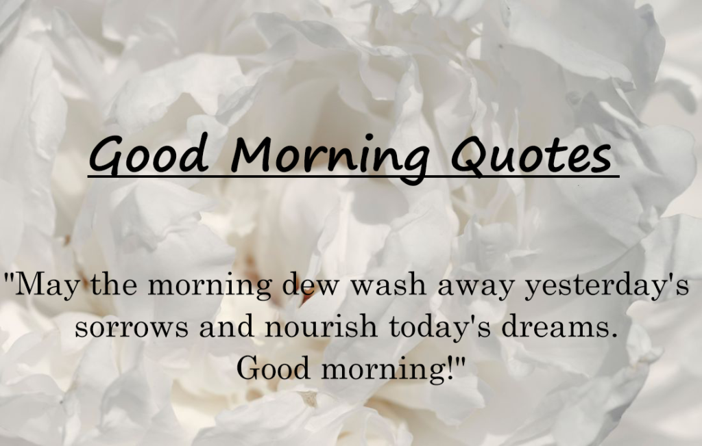 30+ Lovely Good Morning Quotes