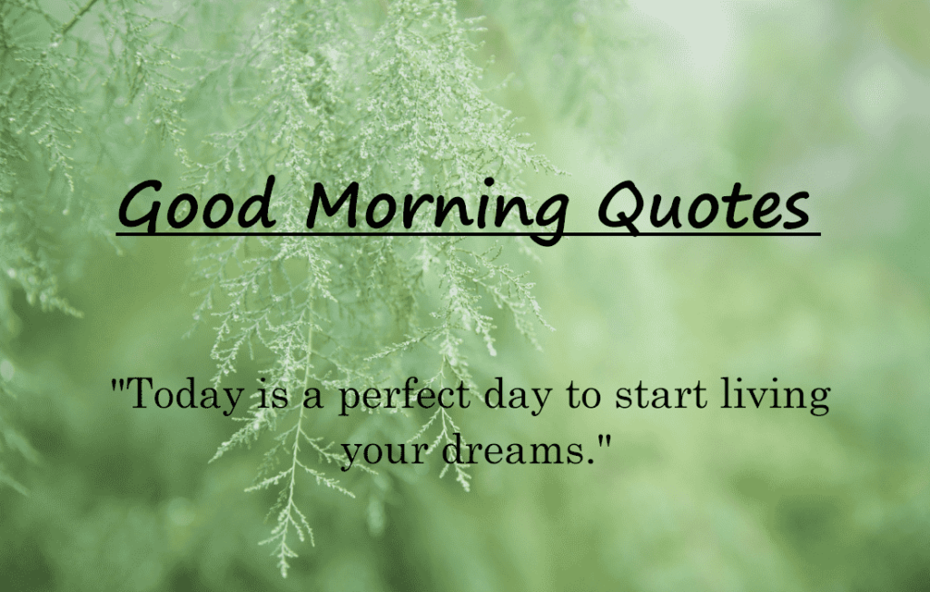 Good Morning Quotes