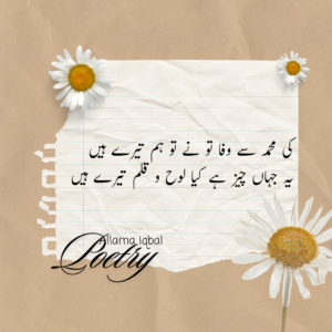 Allama Iqbal Poetry In Urdu, Gazal etc