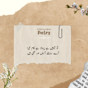 Allama Iqbal Poetry