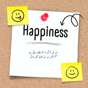 Happiness Quotes In Urdu