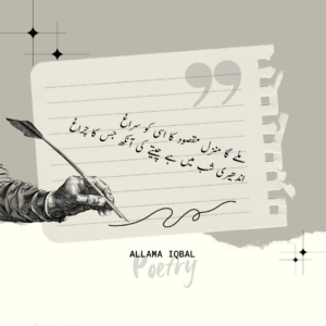 Allama Iqbal Poetry In Urdu, Story, Quotes
