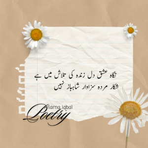 Allama Iqbal Poetry In Urdu, Gazal etc