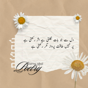 Allama Iqbal Poetry In Urdu, Gazal etc