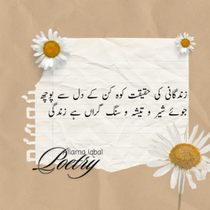 Allama Iqbal Poetry In Urdu, Gazal etc