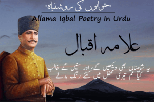 Read more about the article Best Allama Iqbal Poetry In Urdu Ideas [2024]