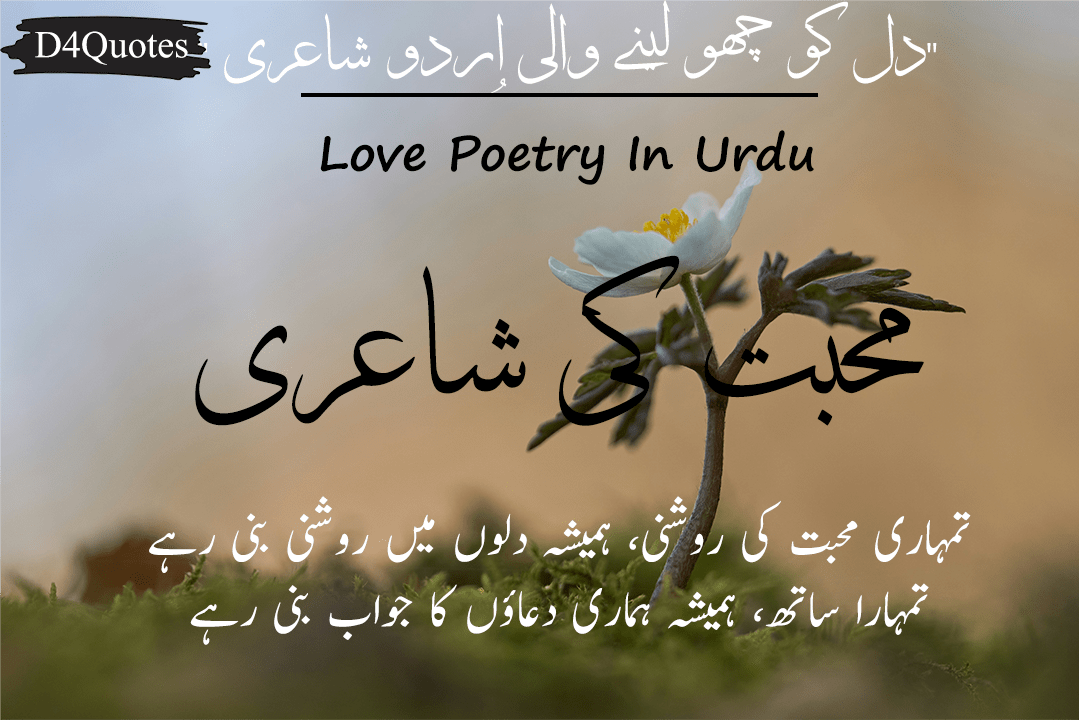 Read more about the article Best Love Poetry In Urdu | Urdu Shayari [2024]