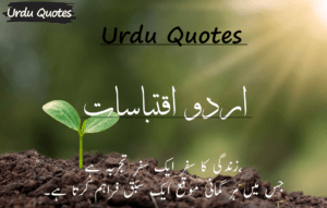 Read more about the article Top 30 Urdu Quotes _ …….. – D4Quotes [2024]