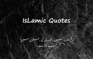 Read more about the article Islamic Quotes in Urdu & Best Islam Quotes Urdu [2024]