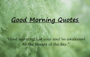 Read more about the article 30+Good Morning Quotes | To Start Your Day Right [2024]