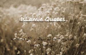 Read more about the article Beautiful Islamic Quotes In Urdu | Inspiring Wisdom