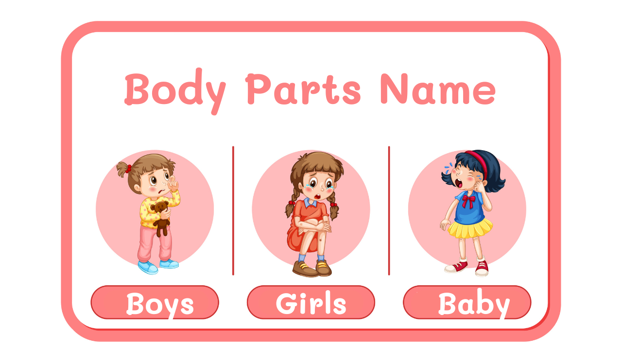 Read more about the article Body Parts Name: Parts Of The Body with Pictures