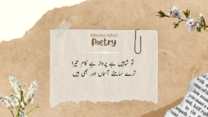 Read more about the article Most Papular Allama Iqbal Poetry || ……_- D4Quotes [2024]