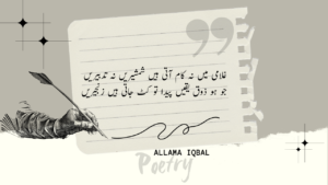 Read more about the article 30+Beautiful Allama Iqbal Poetry In Urdu ………_-D4Quotes [2024]