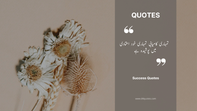 Top 30 Success Quotes in Urdu … _- D4Quotes [2024]