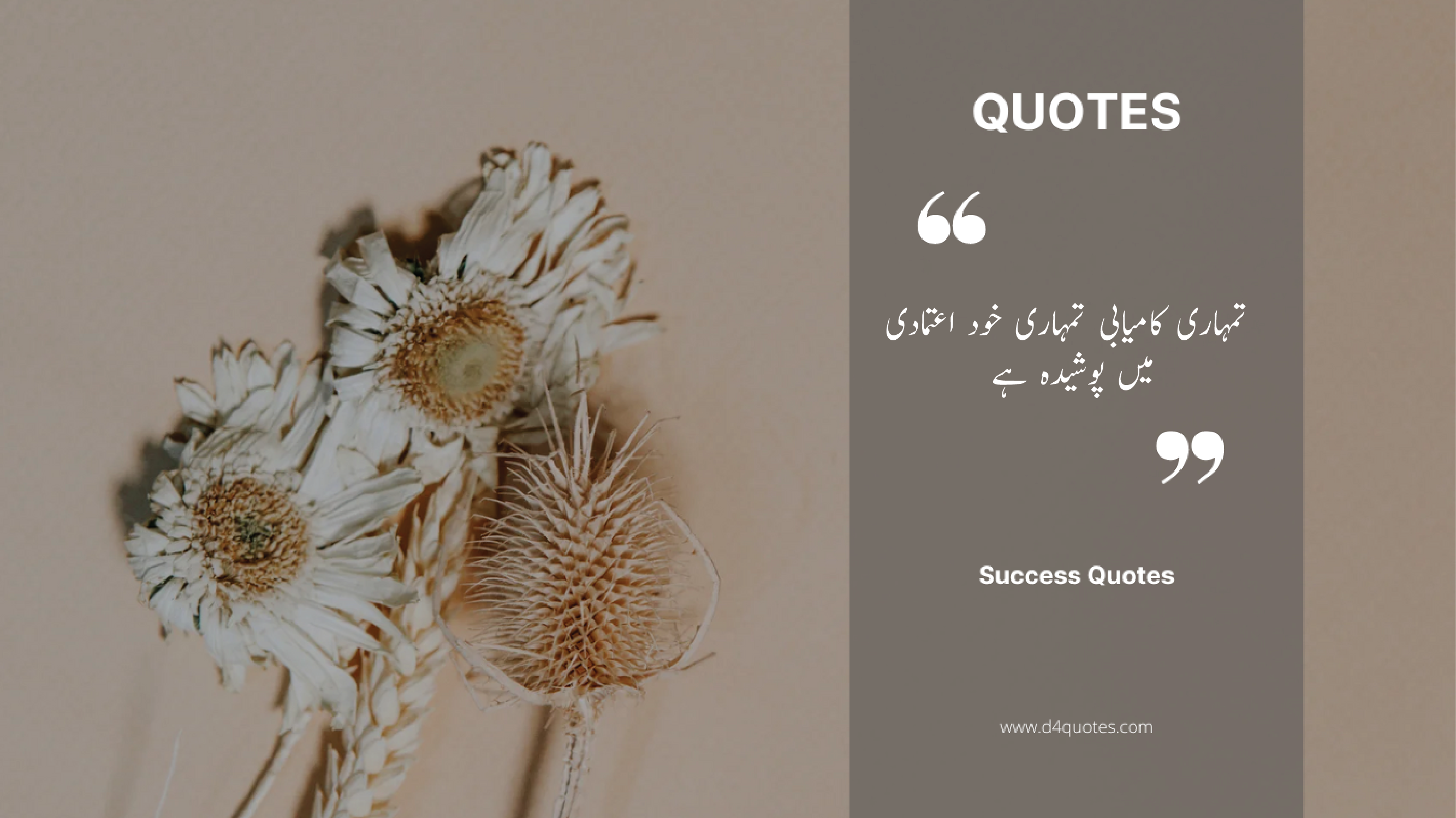 Read more about the article Top 30 Success Quotes in Urdu … _- D4Quotes [2024]