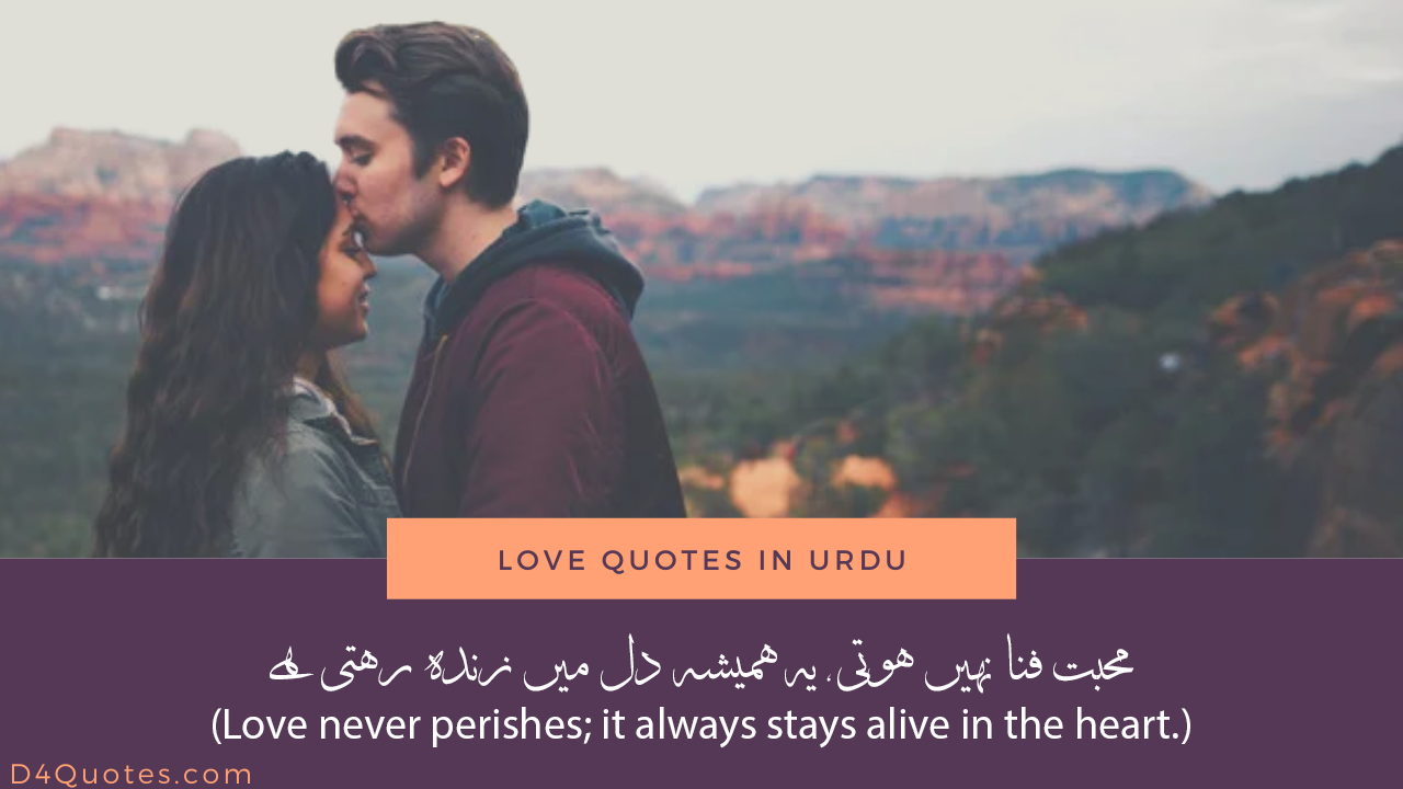 Read more about the article Love Quotes in Urdu – Words That Touch the Heart